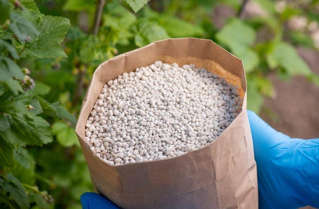 A paper bag filled with granular fertilizer held by a gloved hand