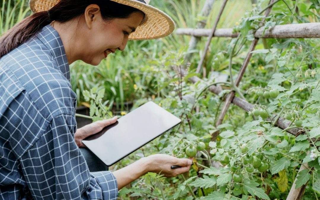 Choosing the Best Bio Fertilizer Manufacturers for Healthier Crops