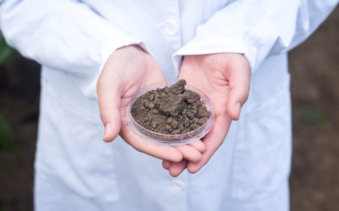 Agronomist holding soil